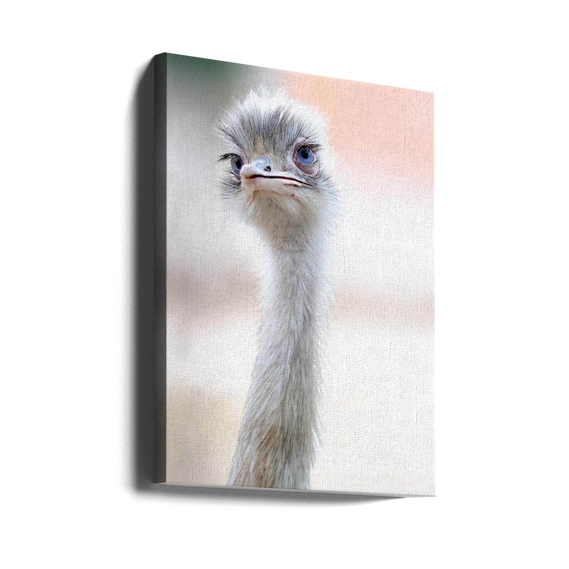 Ostrich Portrait by Fulvio Pellegrini | Exotic Bird Neck, Large Canvas Wall Art Print | Artsy Earth