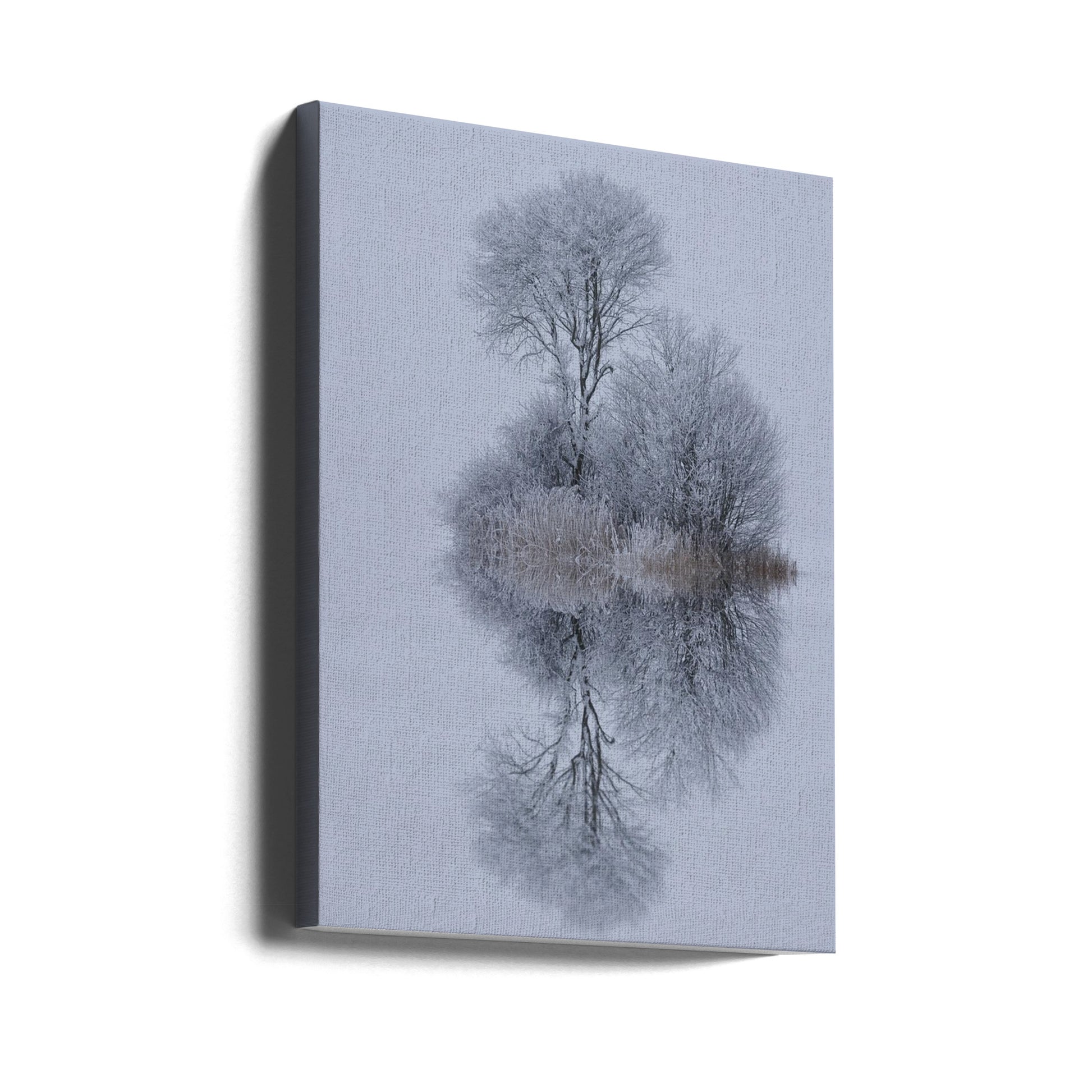 winter stillness by Norbert Maier | Serene Frozen Landscape, Large Canvas Wall Art Print | Artsy Earth