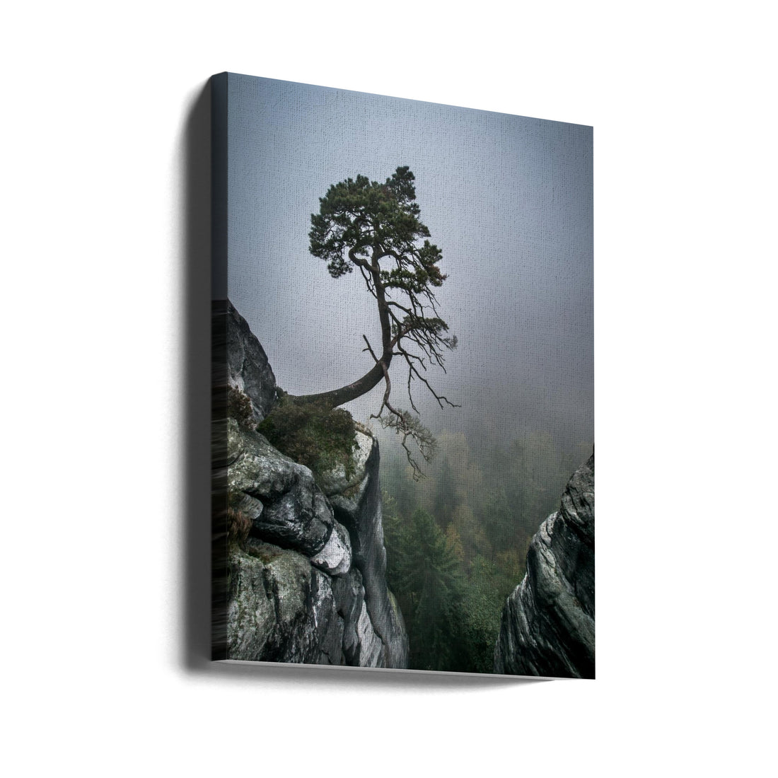 Against the Odds by Andreas Wonisch | Lonely Mountain Forest, Large Canvas Wall Art Print | Artsy Earth