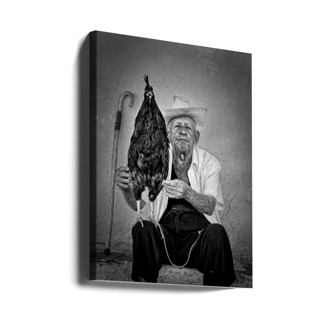 The old man with his fighting cock by Alain Mazalrey | Documentary Portrait Farm, Large Canvas Wall Art Print | Artsy Earth