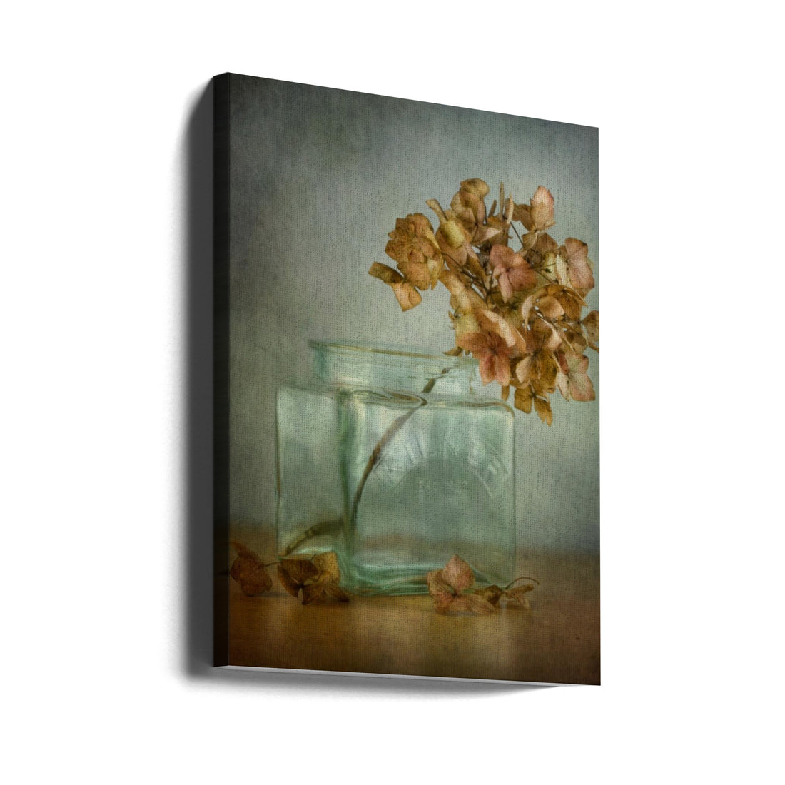 Dried Hydrangea by Mandy Disher | Withered Autumn Flora, Large Canvas Wall Art Print | Artsy Earth