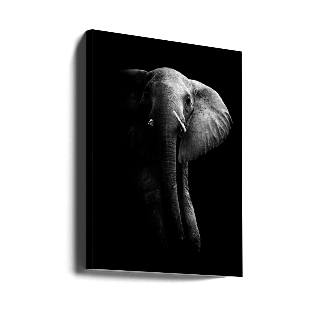 Majestic Elephant by Wildphotoart | African Wildlife Experience, Large Canvas Wall Art Print | Artsy Earth