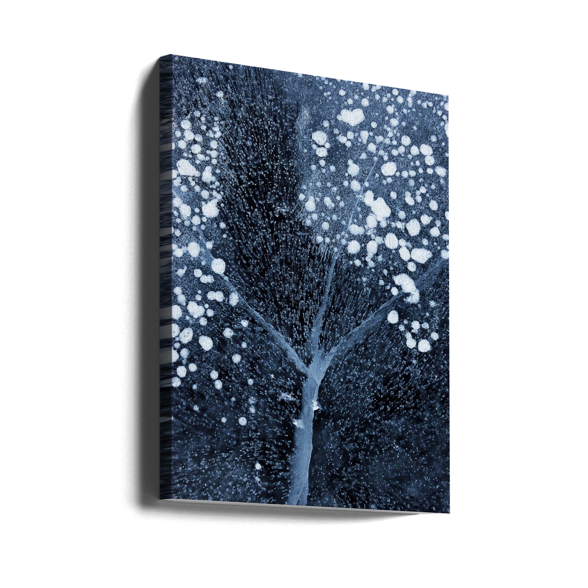 Winter Blossom by Mei Xu | Frozen Floral Abstract, Large Canvas Wall Art Print | Artsy Earth