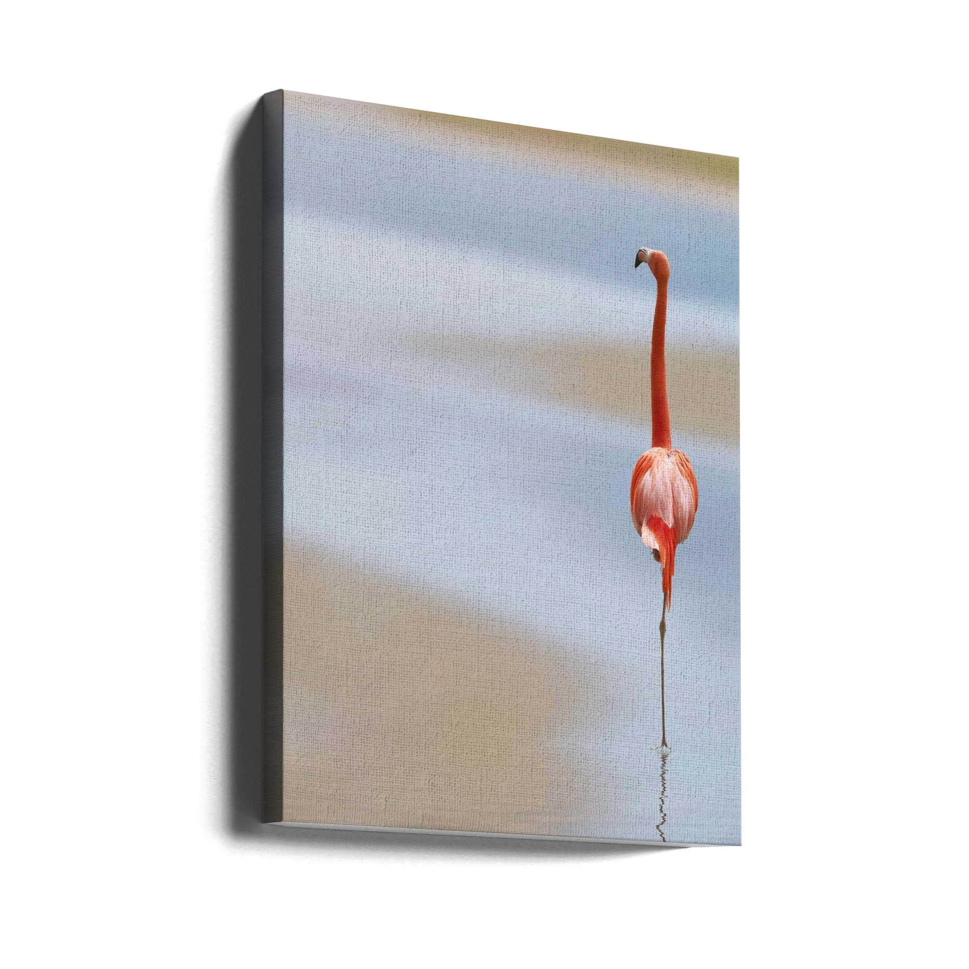 Coastal Flamingo by Anna Cseresnjes | Wildlife Beach Nature, Large Canvas Wall Art Print | Artsy Earth