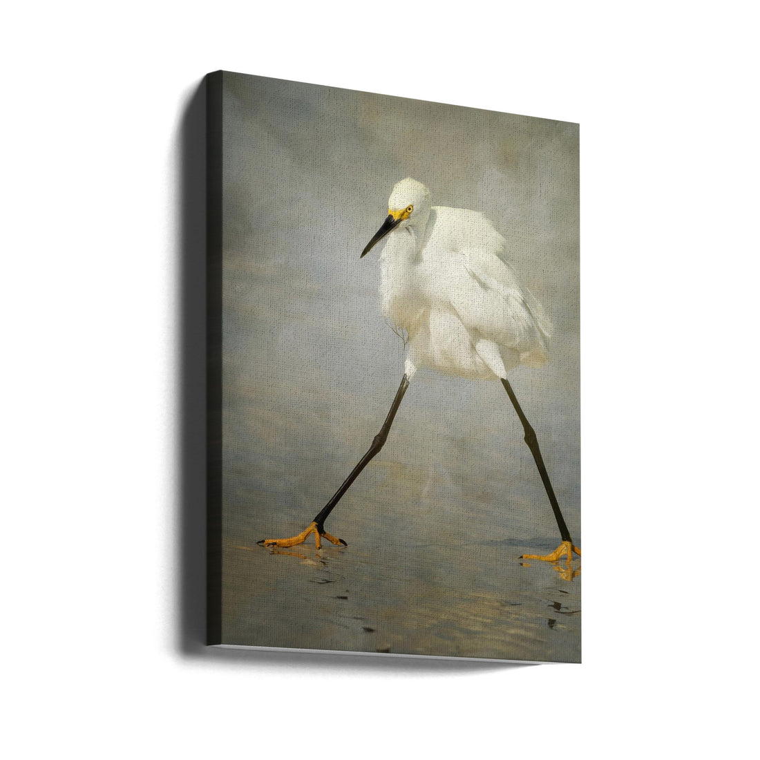 The Rock Star by Alfred Forns | Funny Egret Pose, Large Canvas Wall Art Print | Artsy Earth