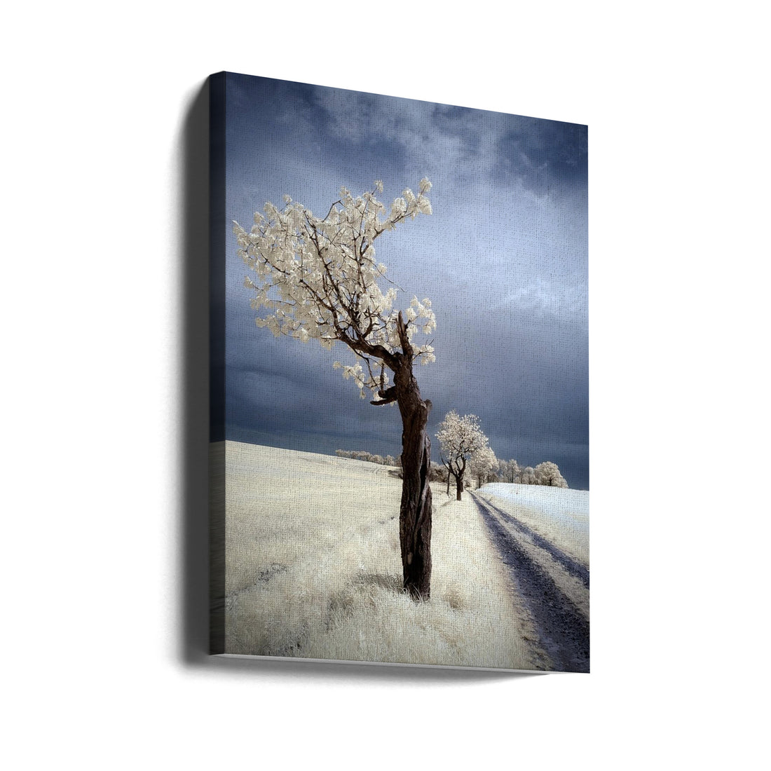 Rural Infrared Path by Piotr Krol (bax) | Pastoral Countryside Landscape, Large Canvas Wall Art Print | Artsy Earth