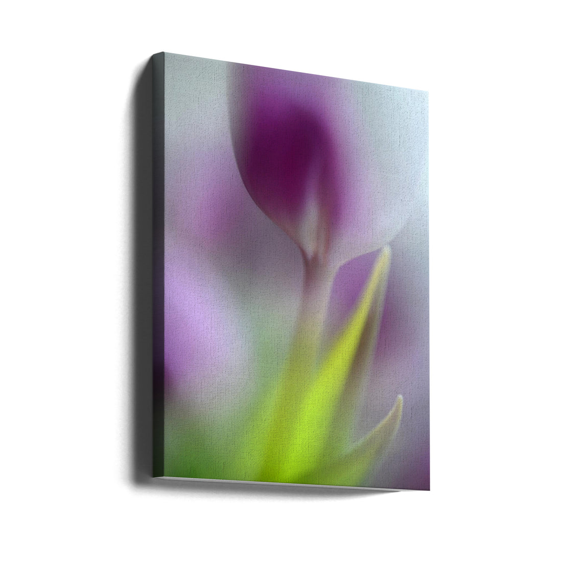 Soft secrets by Heidi Westum | Macro Floral Bokeh, Large Canvas Wall Art Print | Artsy Earth