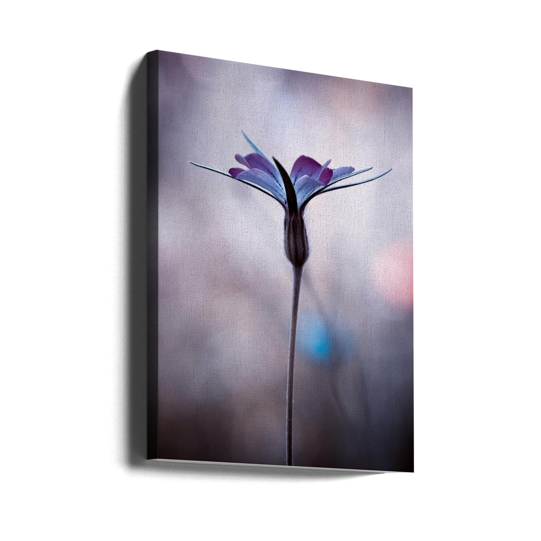 Delicate Flora Macro by Fabien Bravin | Botanical Garden Closeup, Large Canvas Wall Art Print | Artsy Earth