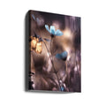 Autumn Glow Flowers by Fabien Bravin | Backlit Floral Macro, Large Canvas Wall Art Print | Artsy Earth