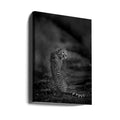 The Look Back by Jaco Marx | African Wildlife Safari, Large Canvas Wall Art Print | Artsy Earth