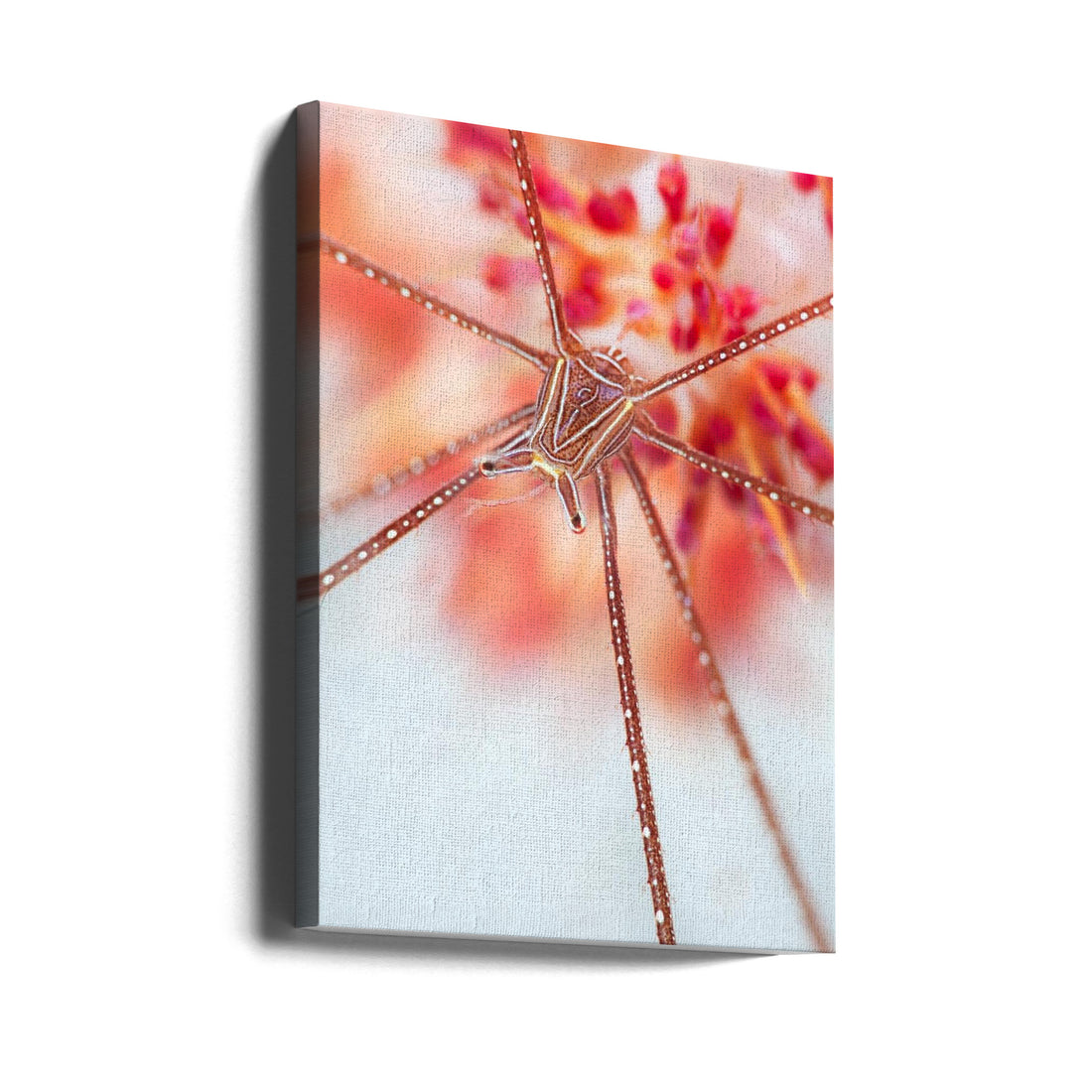 Snow flower by Andrey Narchuk | Underwater Floral Botanical, Large Canvas Wall Art Print | Artsy Earth