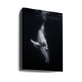 Black Whale by Barathieu Gabriel | Giant Underwater Wildlife, Large Canvas Wall Art Print | Artsy Earth