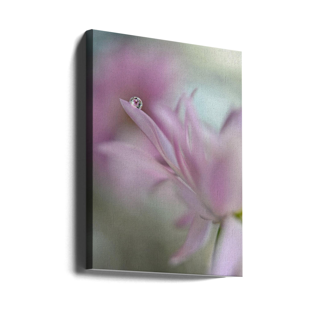 In Pink Delight by Heidi Westum | Romantic Floral Macro, Large Canvas Wall Art Print | Artsy Earth