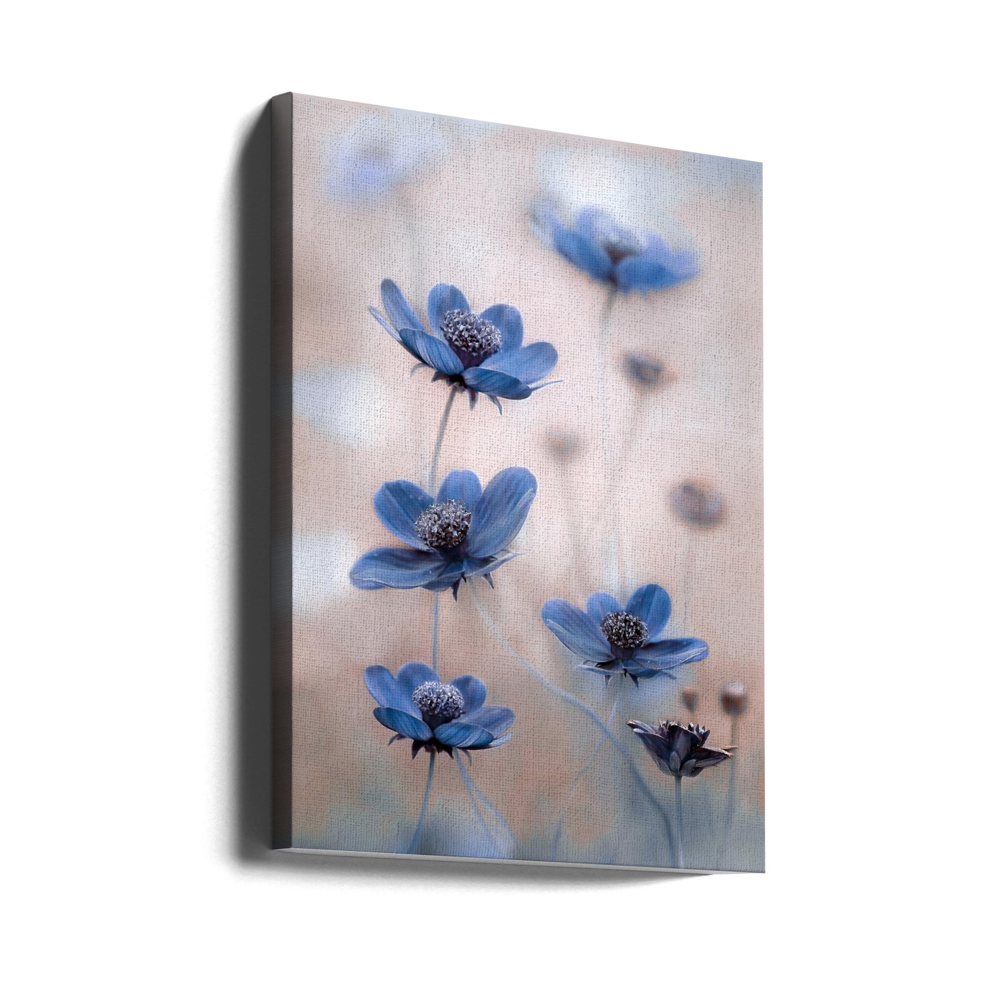 Cosmos Blue by Mandy Disher | Macro Floral Bokeh, Large Canvas Wall Art Print | Artsy Earth