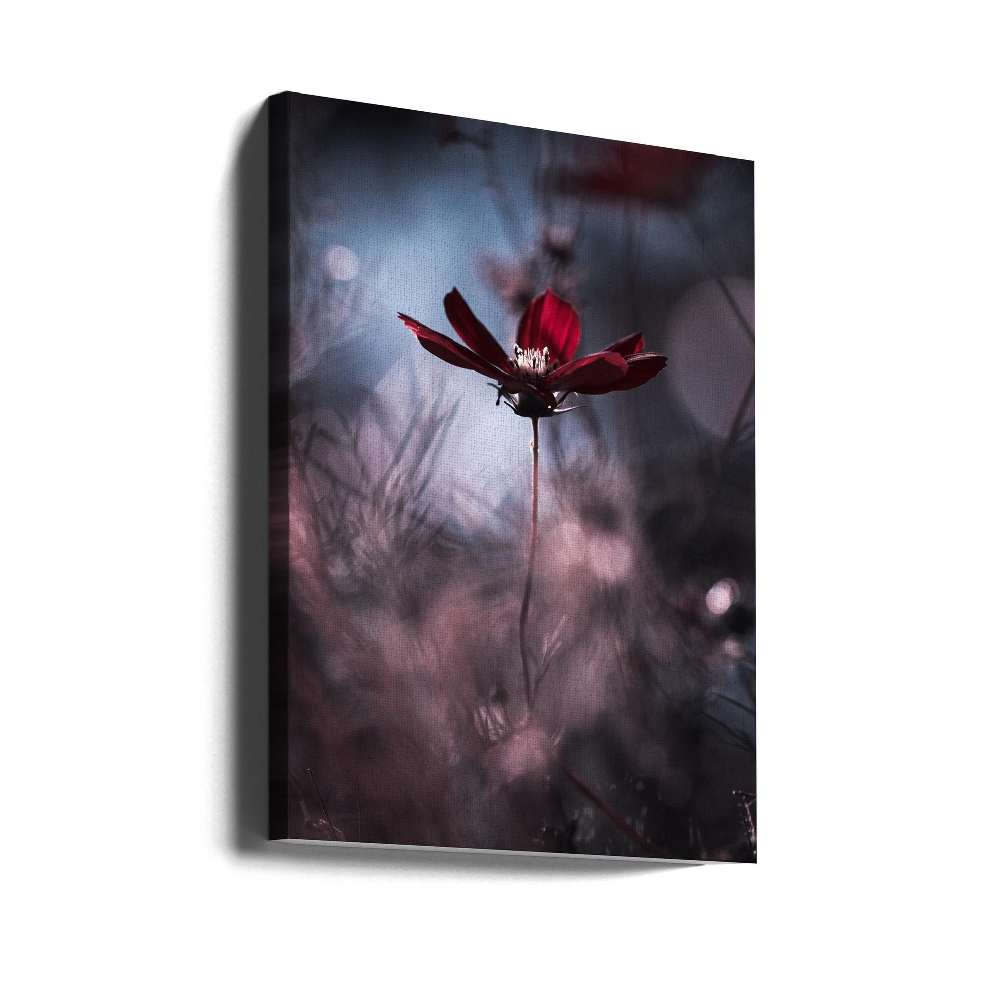 Red Floral Macro by Fabien Bravin | Botanical Close-up, Large Canvas Wall Art Print | Artsy Earth