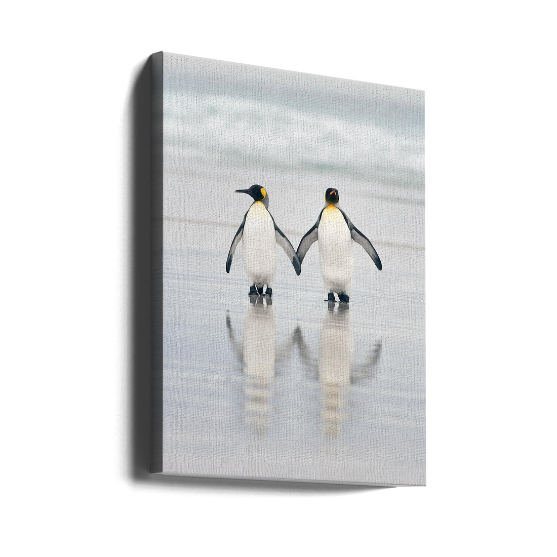 Penguin Friends by Joan Gil Raga | Wildlife Nature Beach, Large Canvas Wall Art Print | Artsy Earth