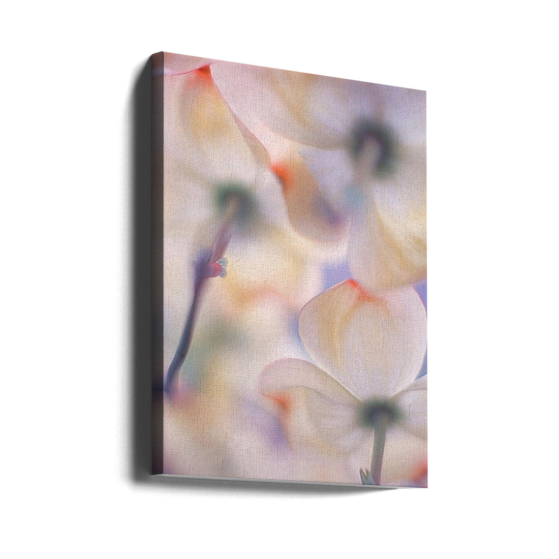 Under the skirts of flowers by Francois Casanova | Soft Floral Macro, Large Canvas Wall Art Print | Artsy Earth