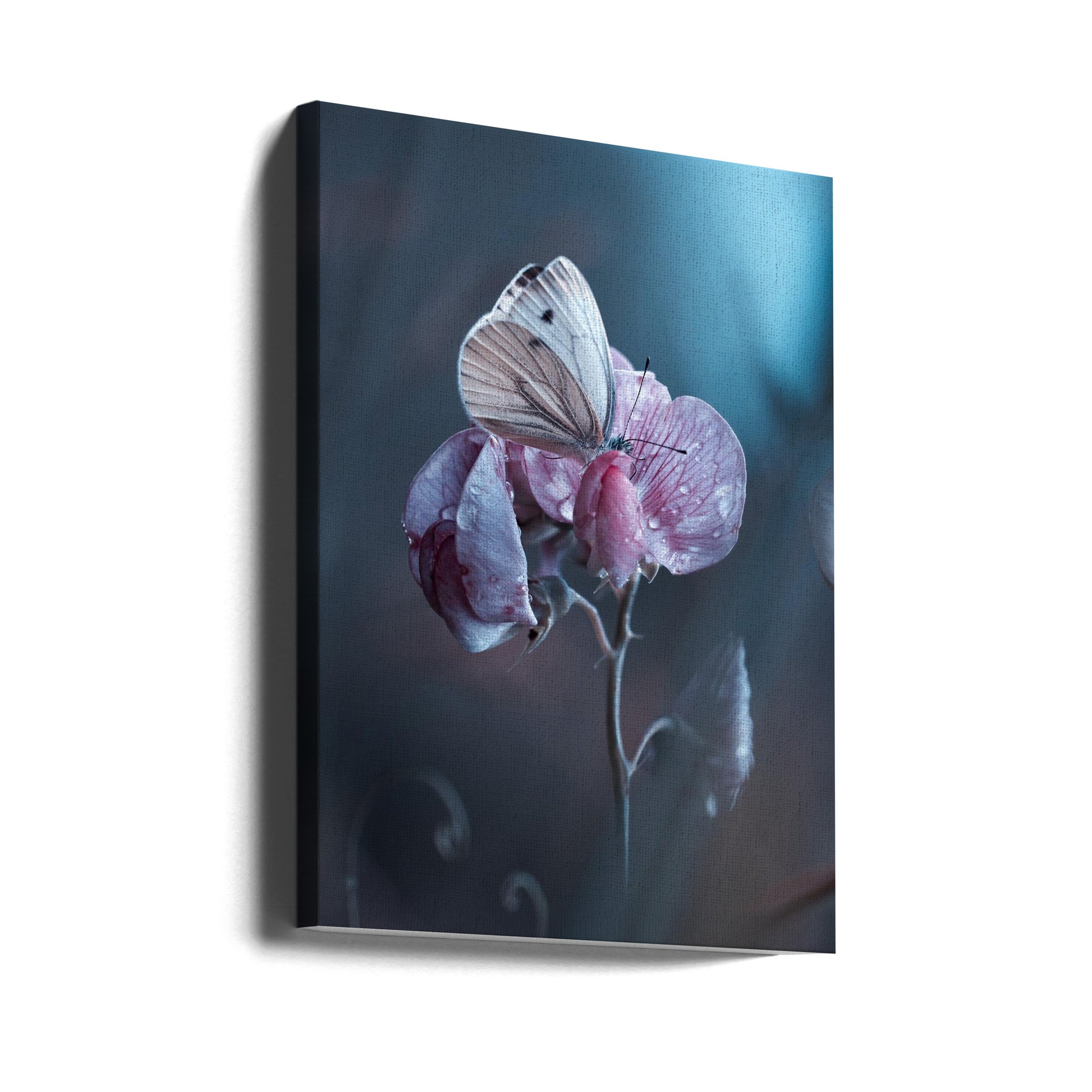 Dewy Garden Butterfly by Fabien Bravin | Pink Floral Macro, Large Canvas Wall Art Print | Artsy Earth