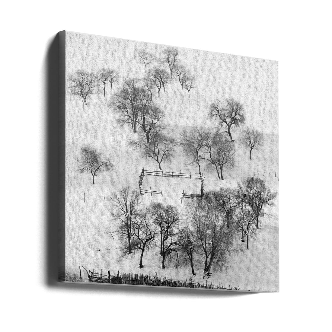 Black and white world by Shu-guang Yang | Snowy Winter Landscape, Large Canvas Wall Art Print | Artsy Earth