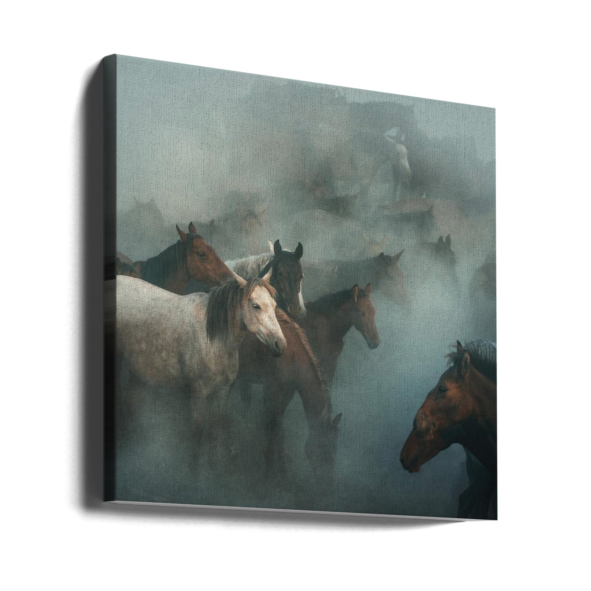 Lost Horses by Hüseyin Taşkın | Misty Horse Herd, Large Canvas Wall Art Print | Artsy Earth