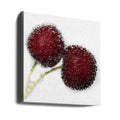 Cherry Bubbles by Xavier Garci | Red Fizzy Fruit, Large Canvas Wall Art Print | Artsy Earth