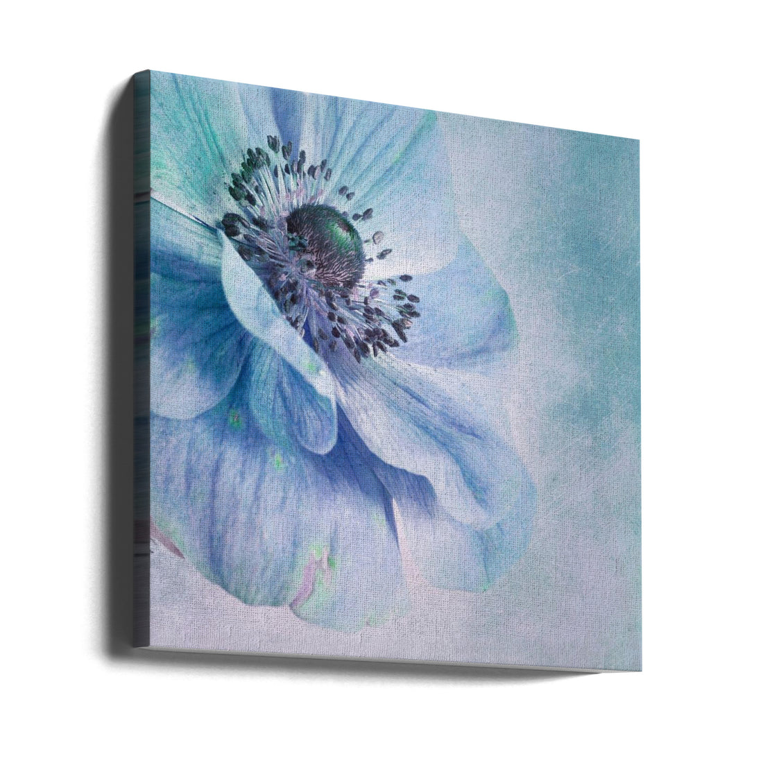 Shades of Blue by Priska Wettstein | Turquoise Floral Macro, Large Canvas Wall Art Print | Artsy Earth