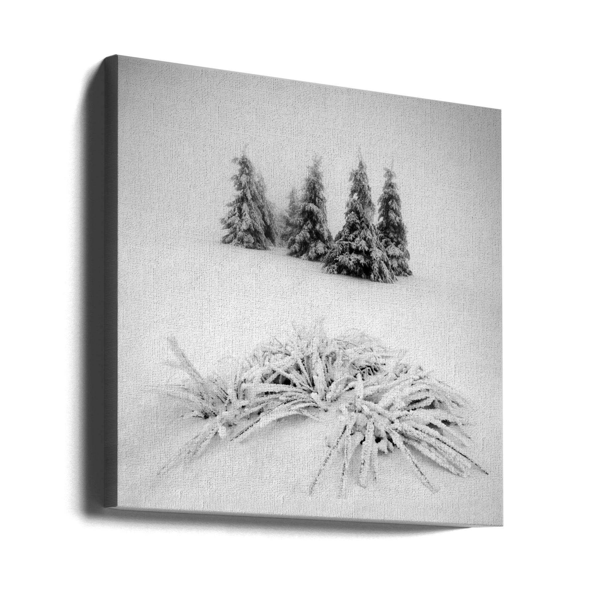 Winter Forest Mist by Daniel Řeřicha | Foggy Forest Landscape, Large Canvas Wall Art Print | Artsy Earth