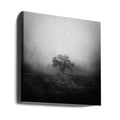 Lonely Tree Landscape by Karol Važan | Black White Grainy, Large Canvas Wall Art Print | Artsy Earth