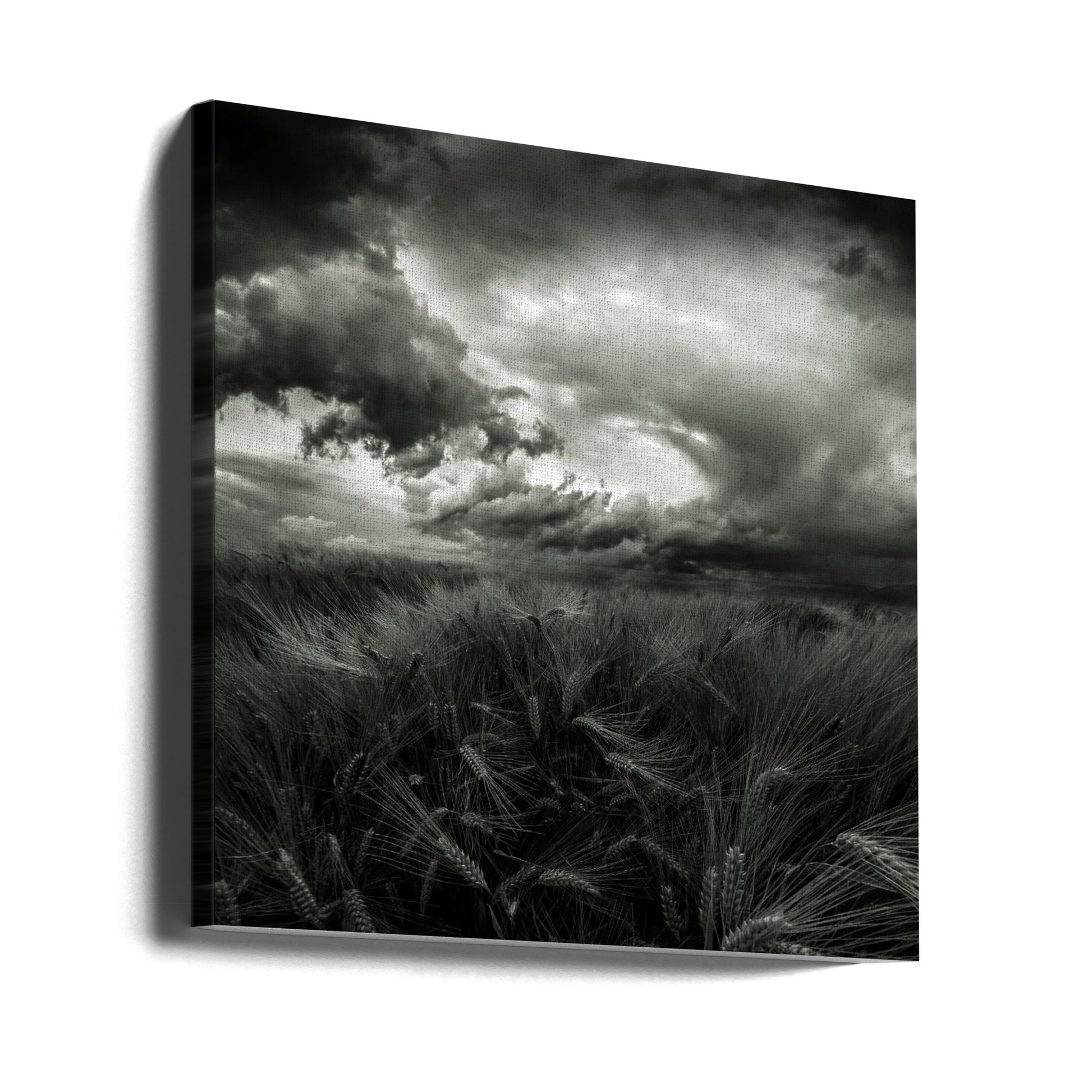 after the storm by Franziskus Pfleghart | Stormy Rural Landscape, Large Canvas Wall Art Print | Artsy Earth