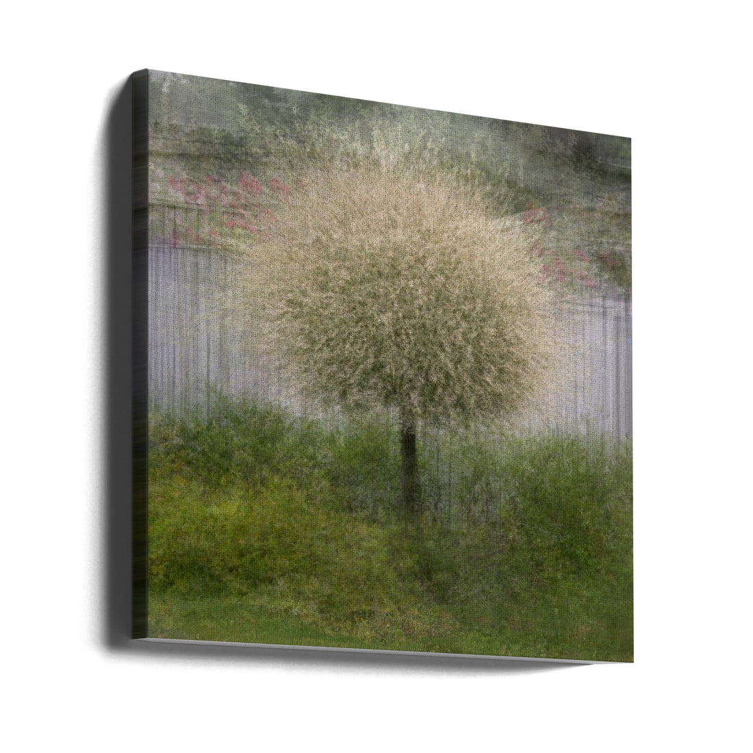 In front of the fence by Katarina Holmström | Lonely Green Tree, Large Canvas Wall Art Print | Artsy Earth