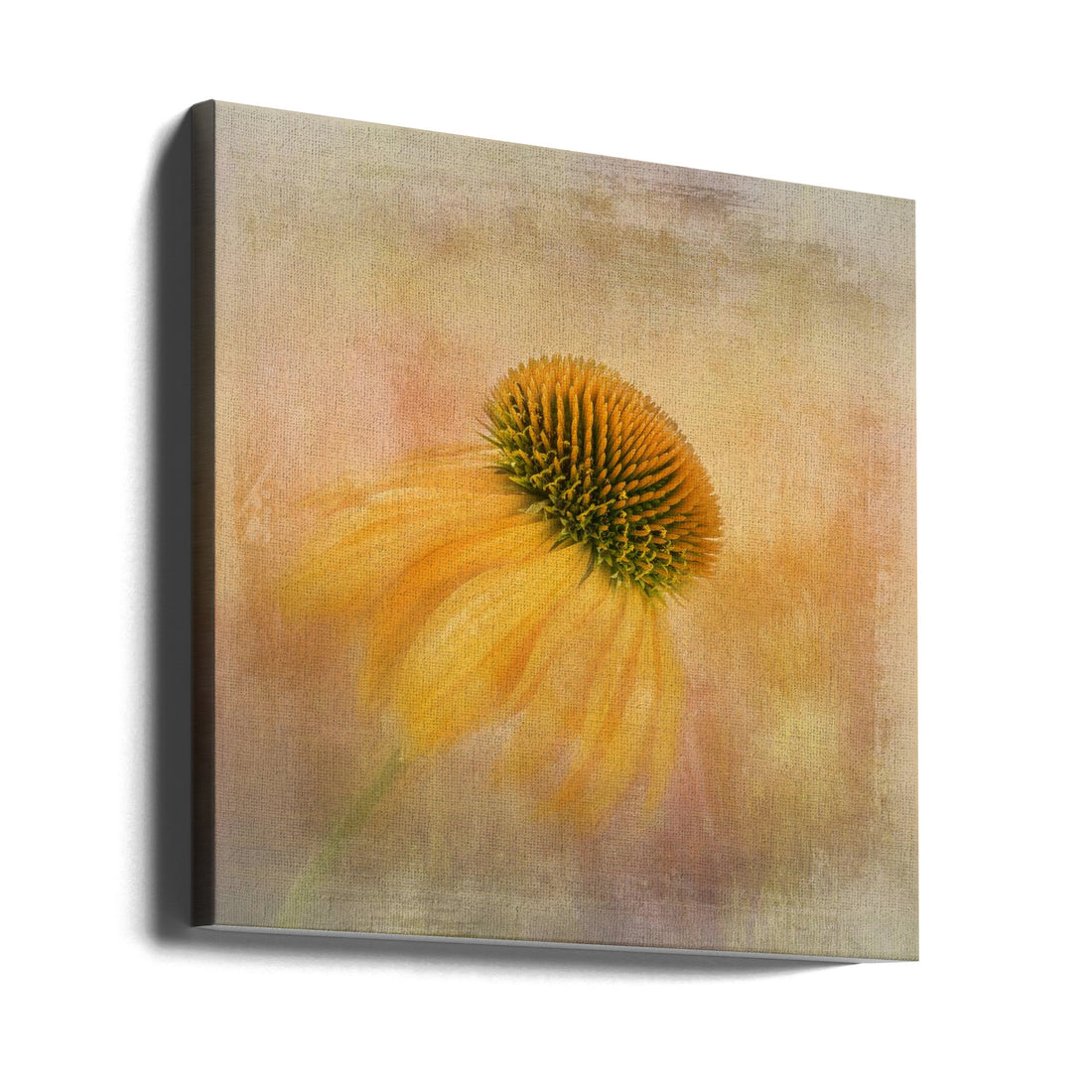 Echinacea in Yellow by Gaille Gray | Painterly Botanical Flora, Large Canvas Wall Art Print | Artsy Earth