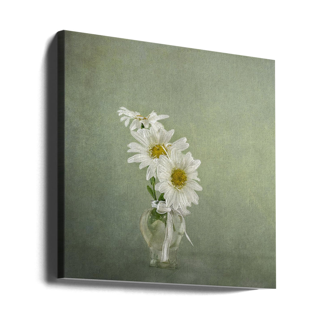 3 White Daisies by Gaille Gray | Floral Still Life, Large Canvas Wall Art Print | Artsy Earth