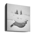 Frozen Swamps by Daniel Řeřicha | Foggy Winter Landscape, Large Canvas Wall Art Print | Artsy Earth