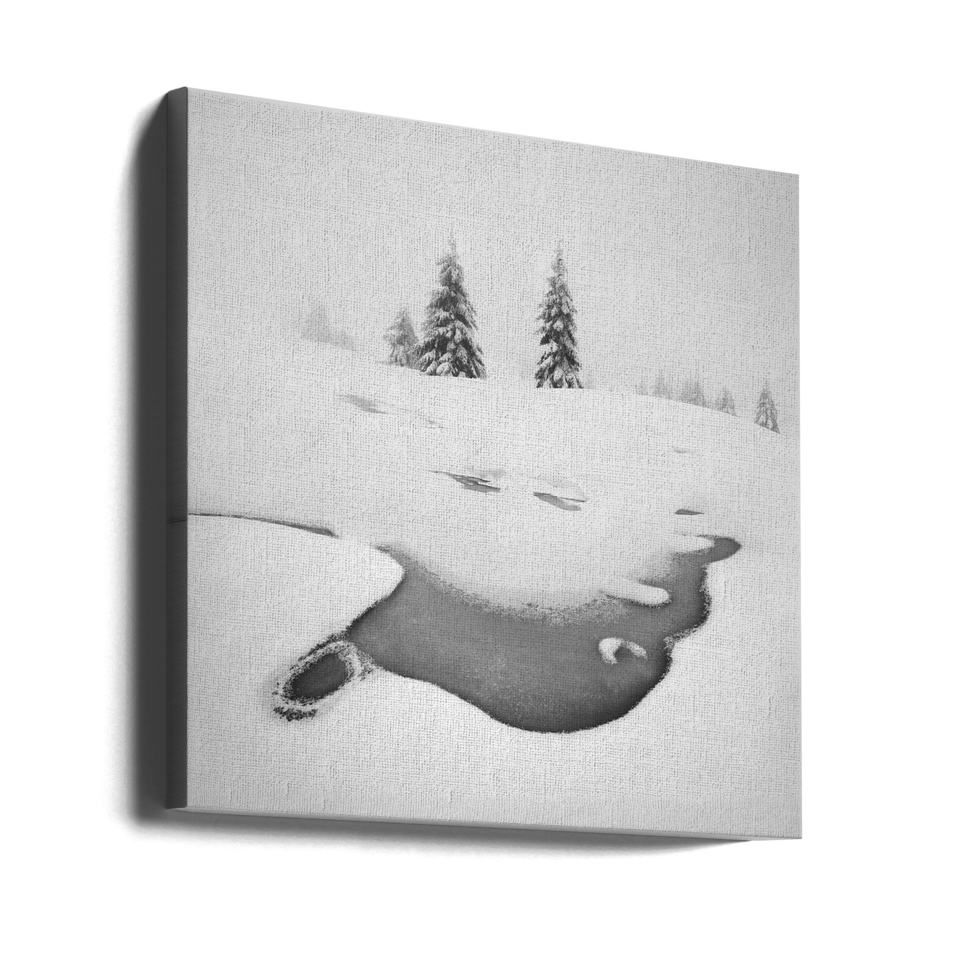 Frozen Swamps by Daniel Řeřicha | Foggy Winter Landscape, Large Canvas Wall Art Print | Artsy Earth