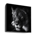 The Look by Jerry Berry | Lion Portrait Dark, Large Canvas Wall Art Print | Artsy Earth