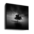 Back Light by Rony Tjayana | Tranquil Tree Silhouette, Large Canvas Wall Art Print | Artsy Earth