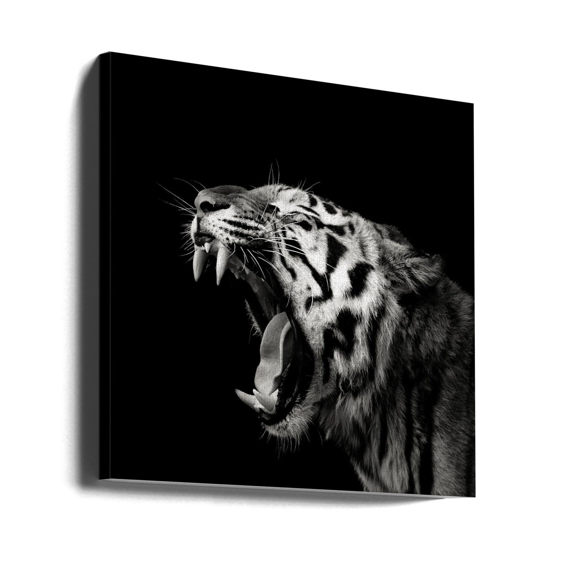 Primal Yawn by Christian Meermann | Black White Tiger, Large Canvas Wall Art Print | Artsy Earth