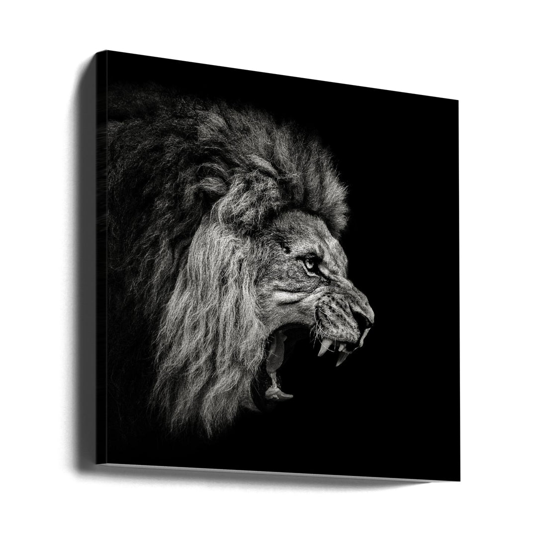 Roaring Lion by Christian Meermann | Black White Lion, Large Canvas Wall Art Print | Artsy Earth