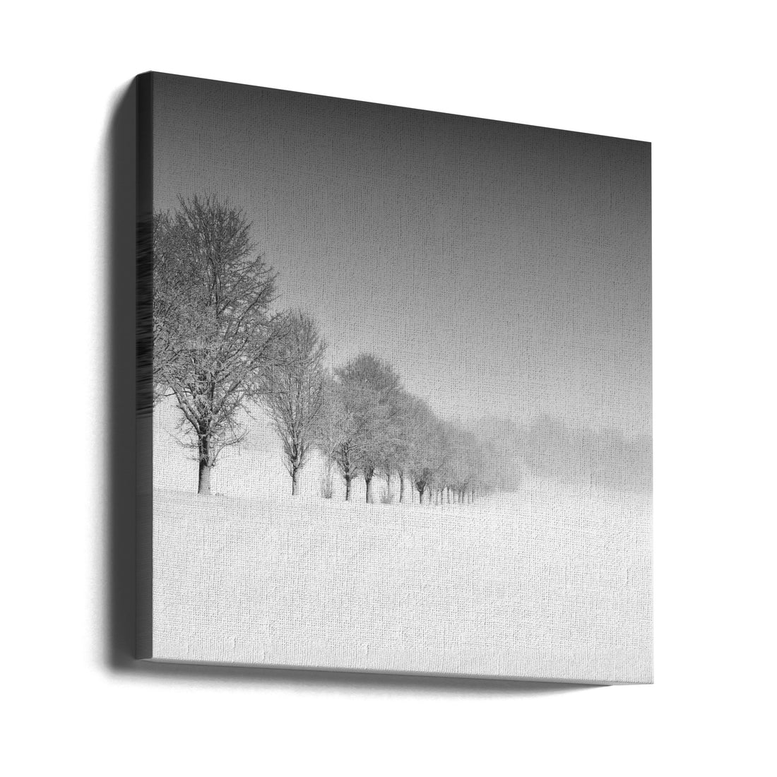 Winter Formation by Alexej Schulz | Minimalist Snowy Landscape, Large Canvas Wall Art Print | Artsy Earth