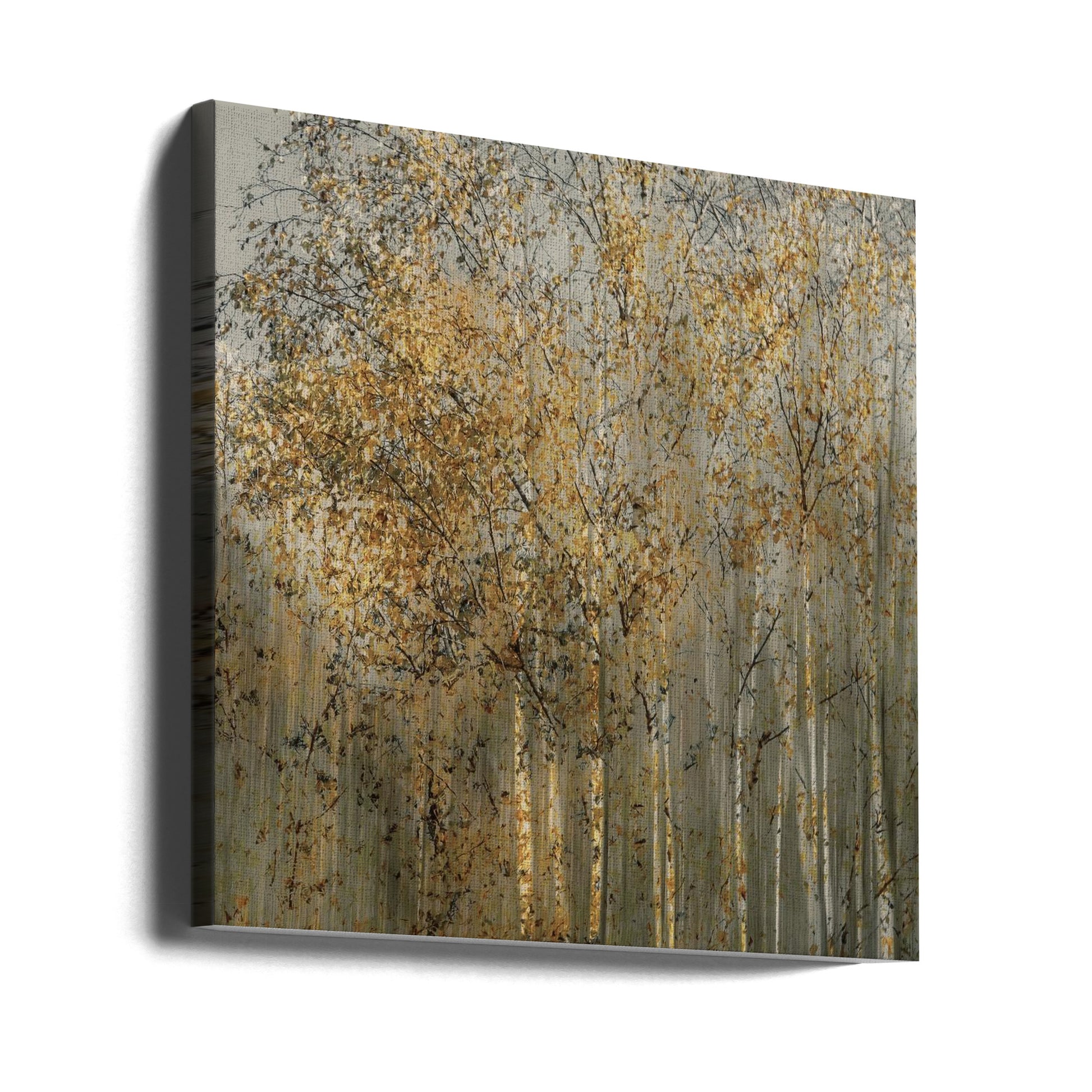 Birch Impression by Nel Talen | Impressionistic Autumn Landscape, Large Canvas Wall Art Print | Artsy Earth