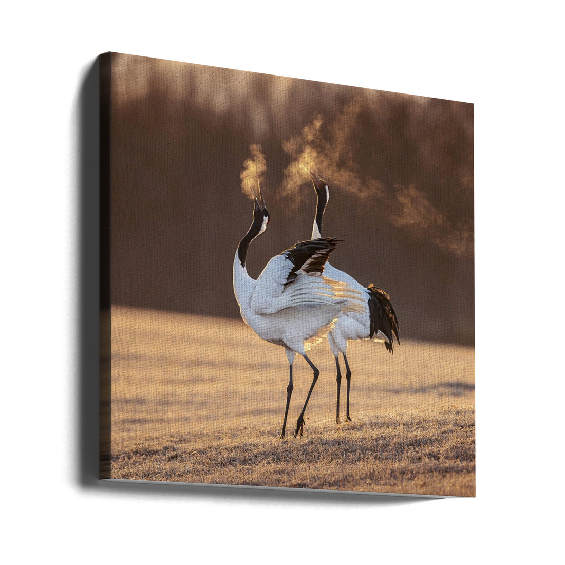 One Life One Love by Hung Tsui | Winter Crane Romance, Large Canvas Wall Art Print | Artsy Earth