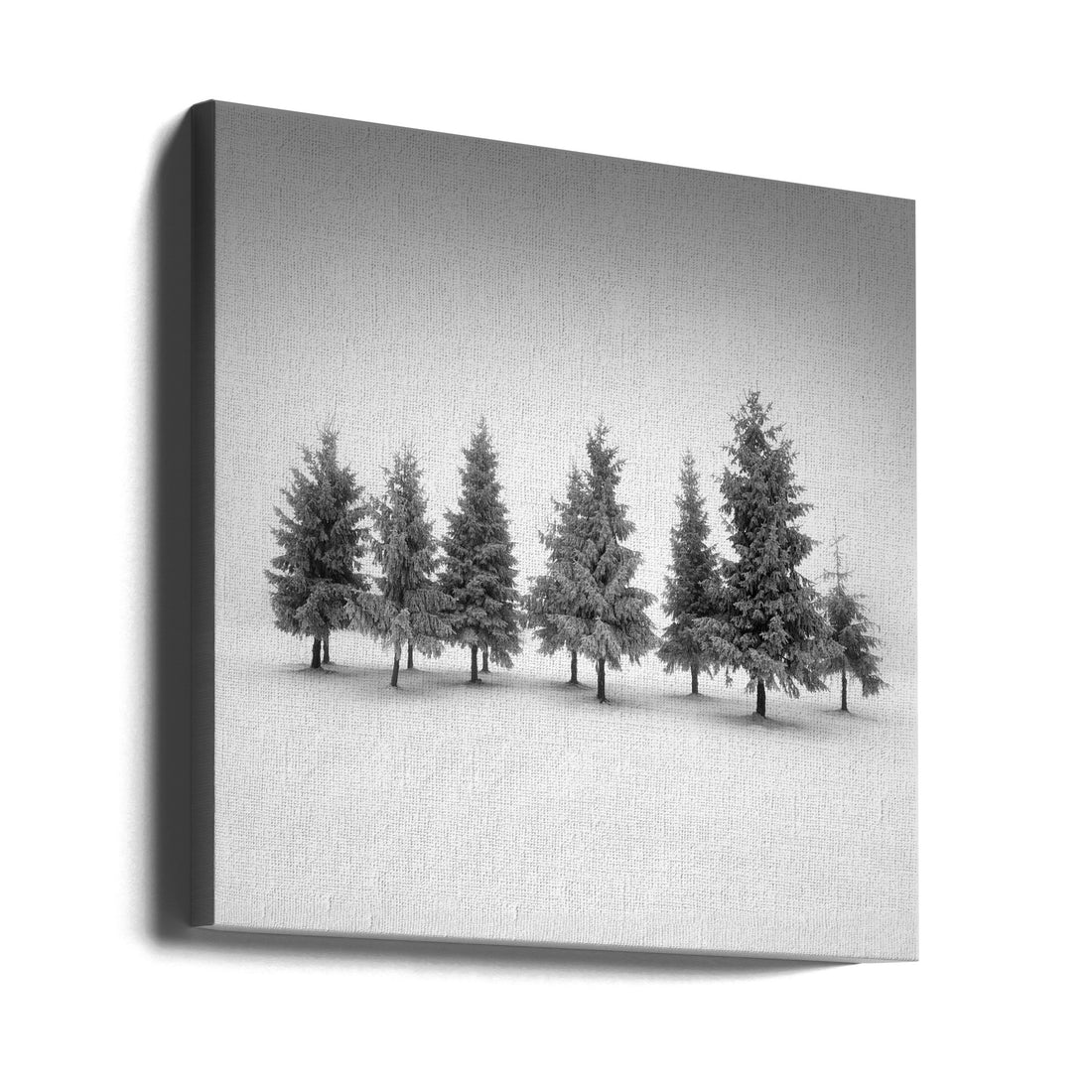 Snowy Forest Light by Daniel Řeřicha | Winter Forest Landscape, Large Canvas Wall Art Print | Artsy Earth