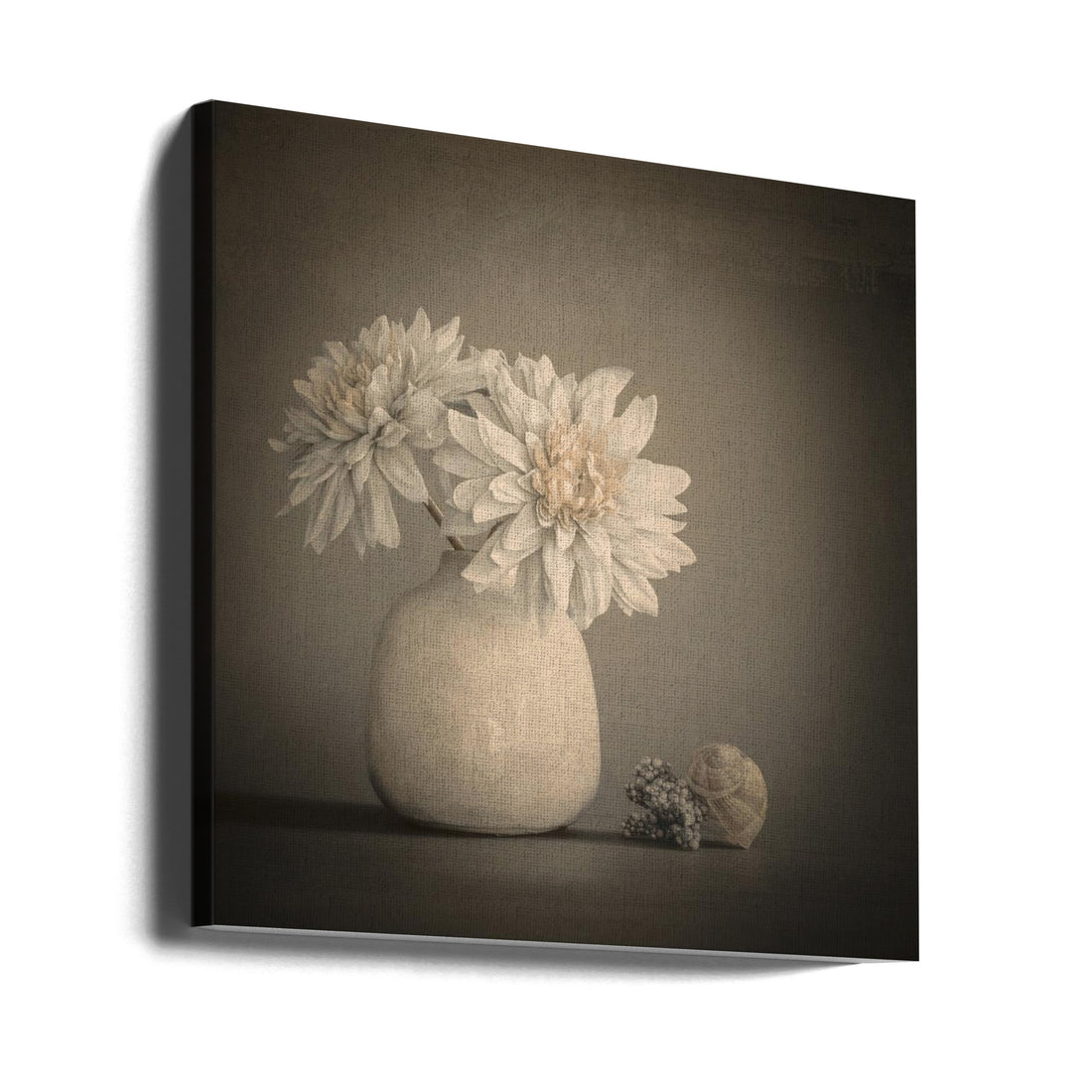 White and Fine by Cicek Kiral | Low Key Floral Still Life, Large Canvas Wall Art Print | Artsy Earth