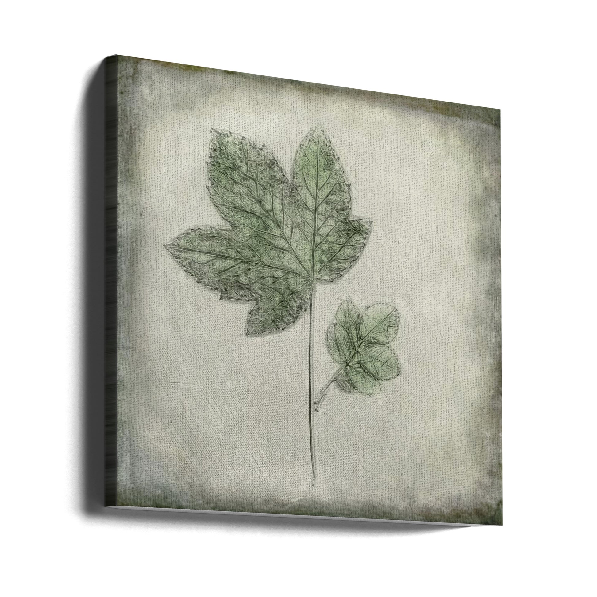 Before the Decay by Cicek Kiral | Green Leaf Colors, Large Canvas Wall Art Print | Artsy Earth