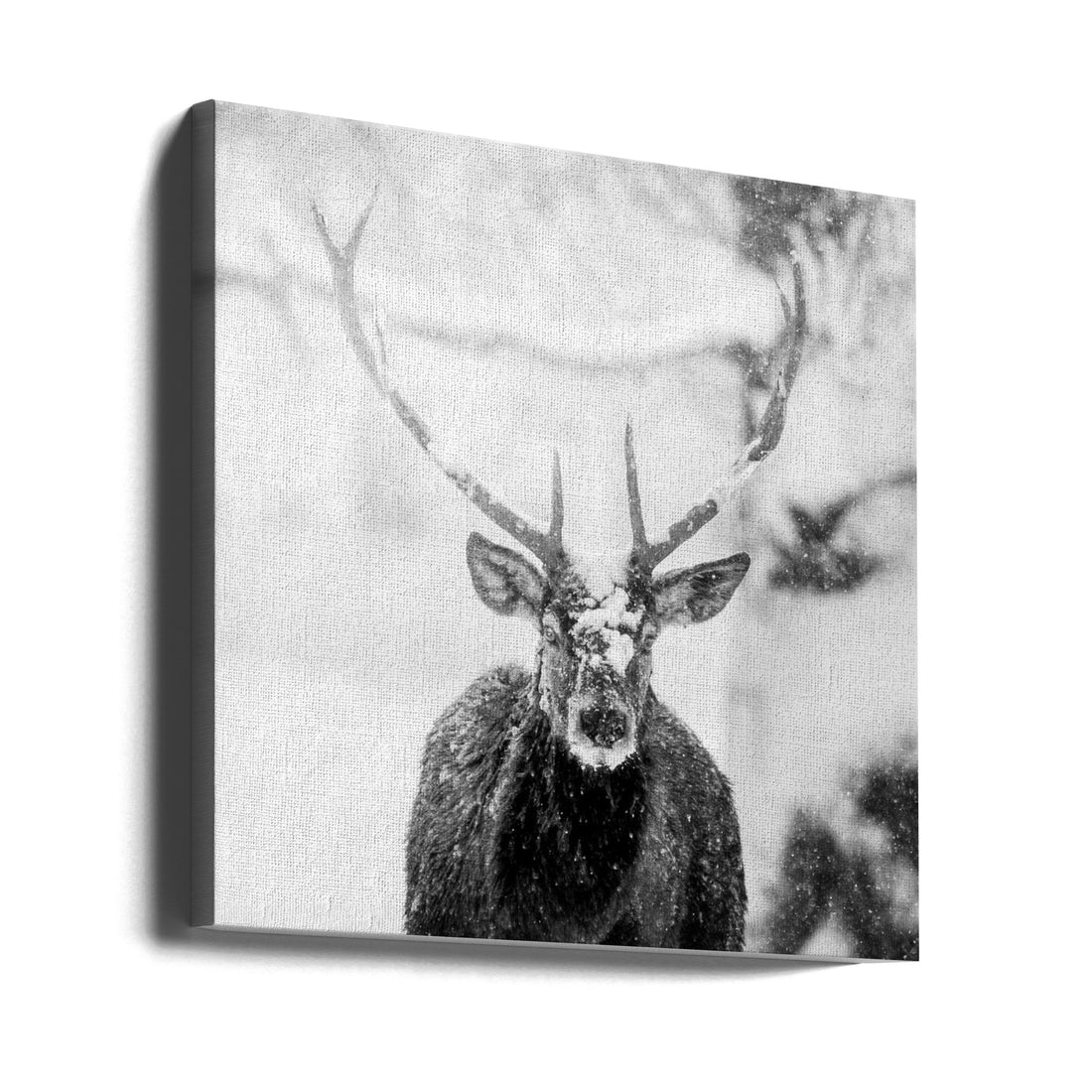 Snowy Stag by Alexandru Handrache | Winter Wildlife, Large Canvas Wall Art Print | Artsy Earth