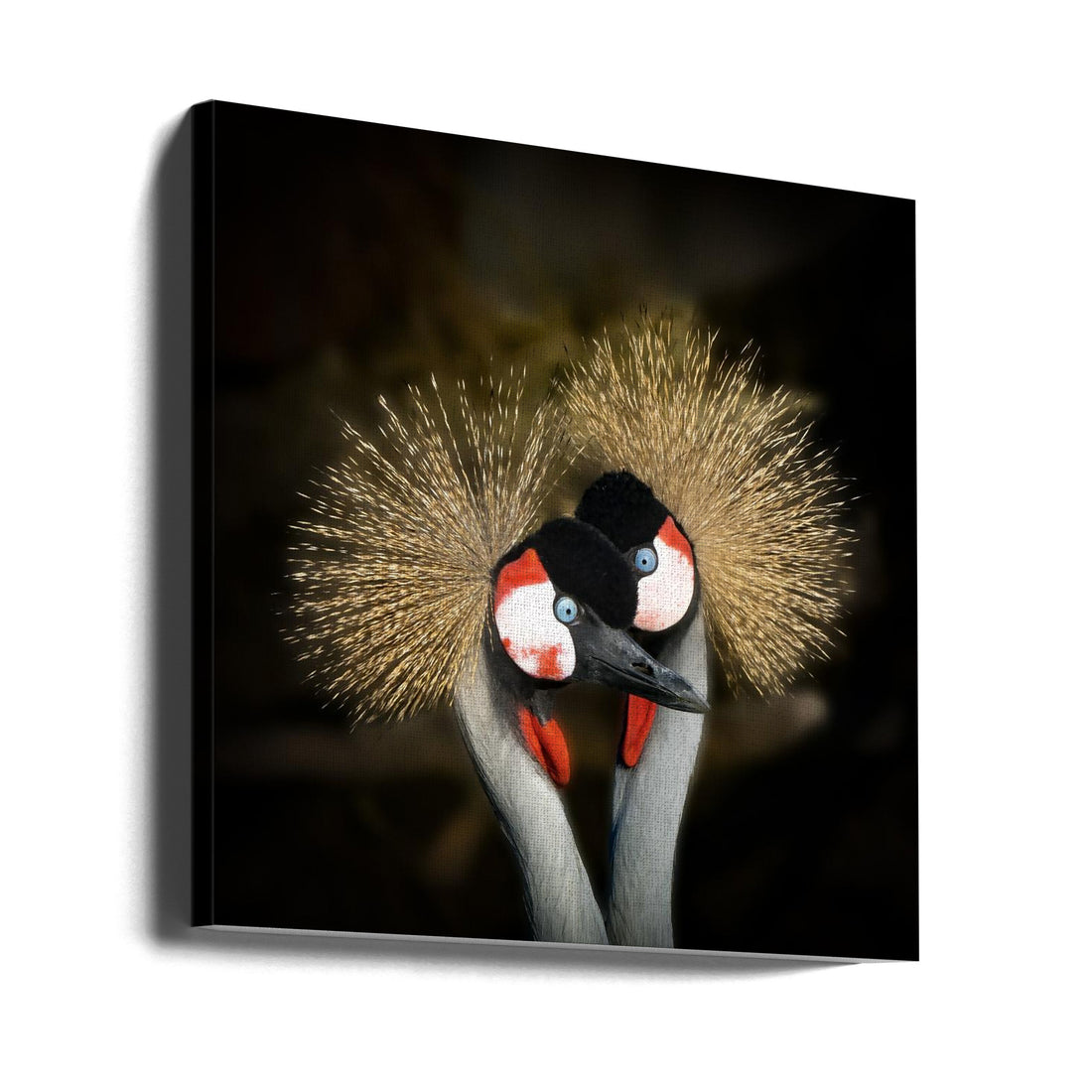 Crowned Crane Makeup by Michel Romaggi | Bird Portrait Face, Large Canvas Wall Art Print | Artsy Earth