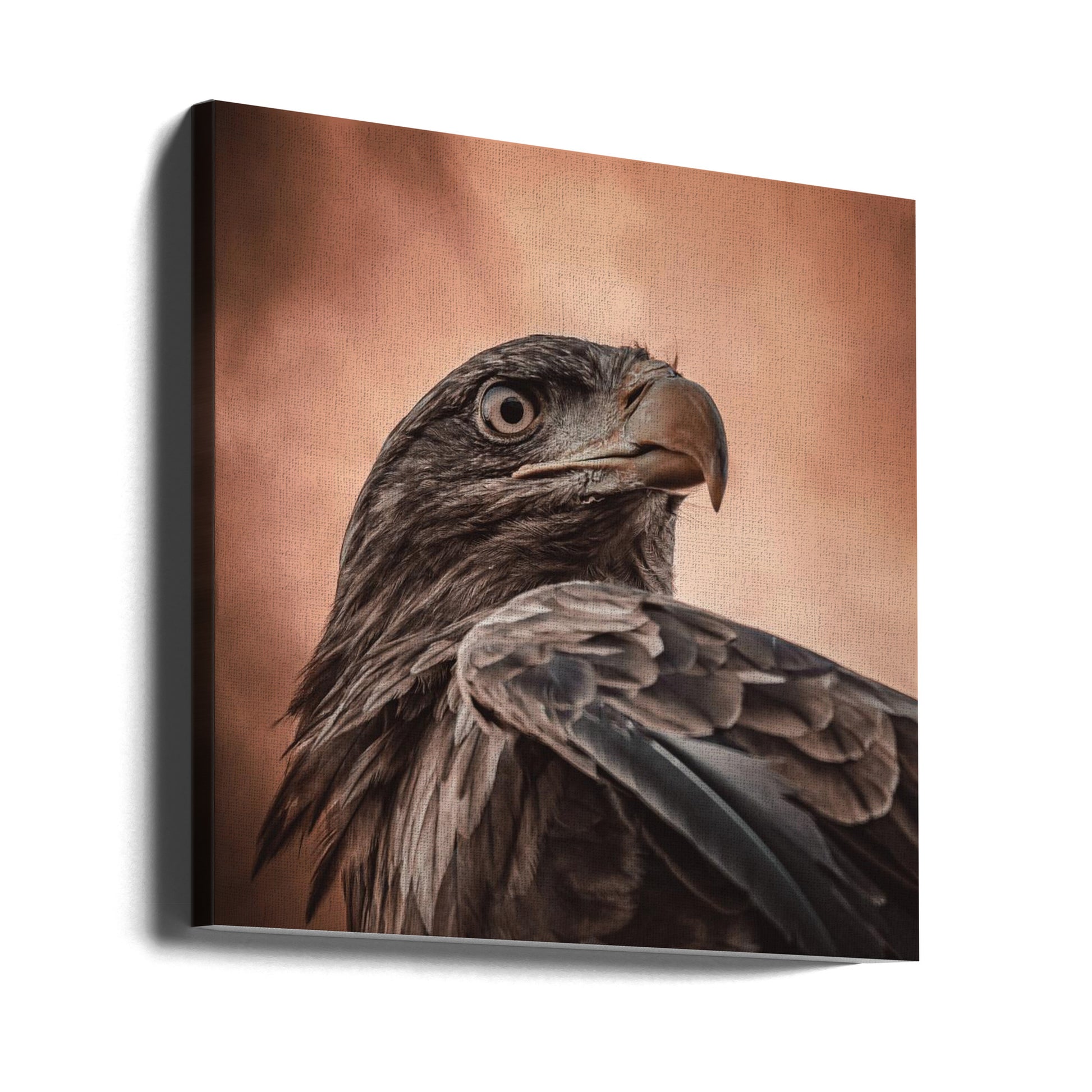 Eagle Eyes by Natascha Worseling | Eagle Animal Portrait, Large Canvas Wall Art Print | Artsy Earth