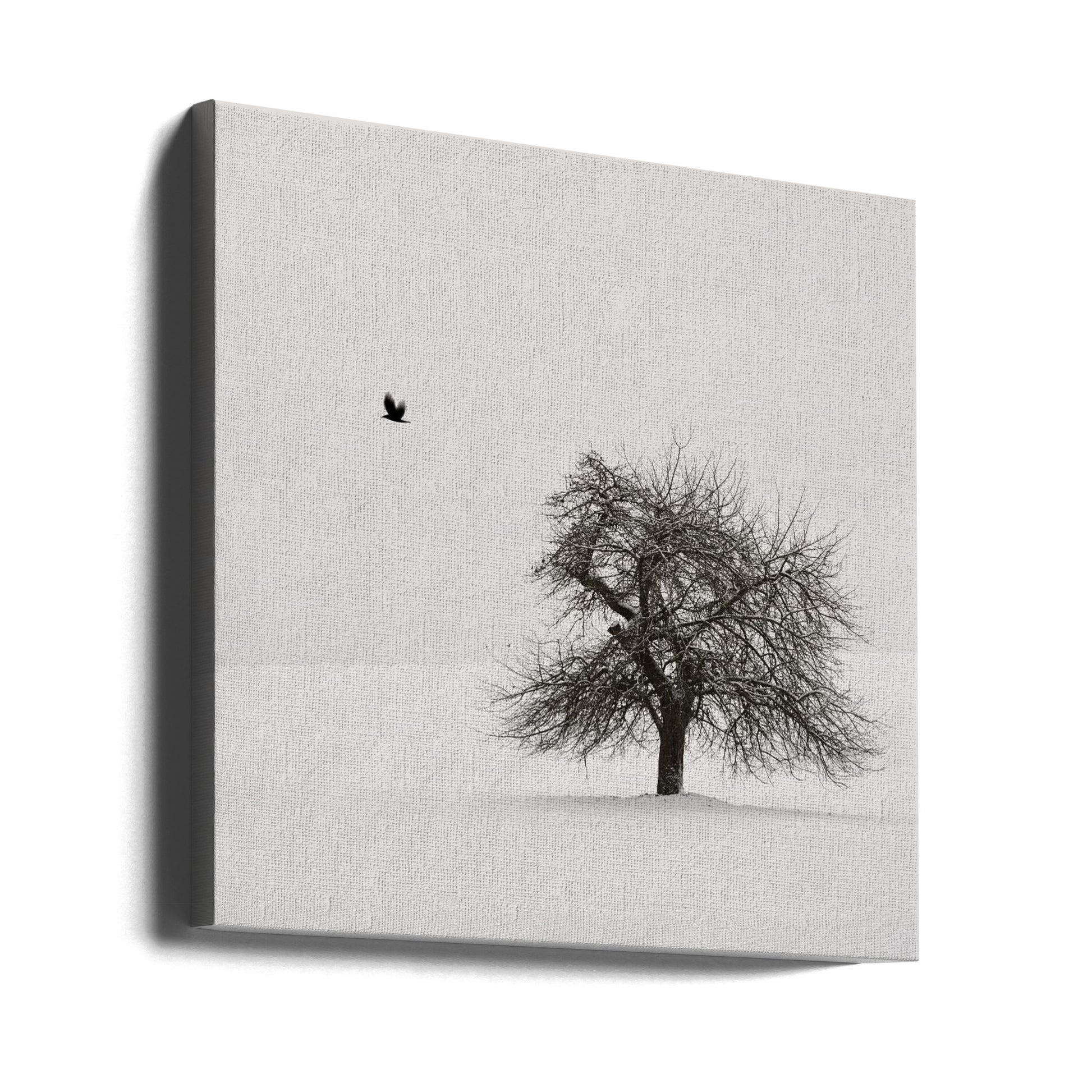 Old Cherry Tree by Lena Weisbek | Japanese Winter Tree, Large Canvas Wall Art Print | Artsy Earth