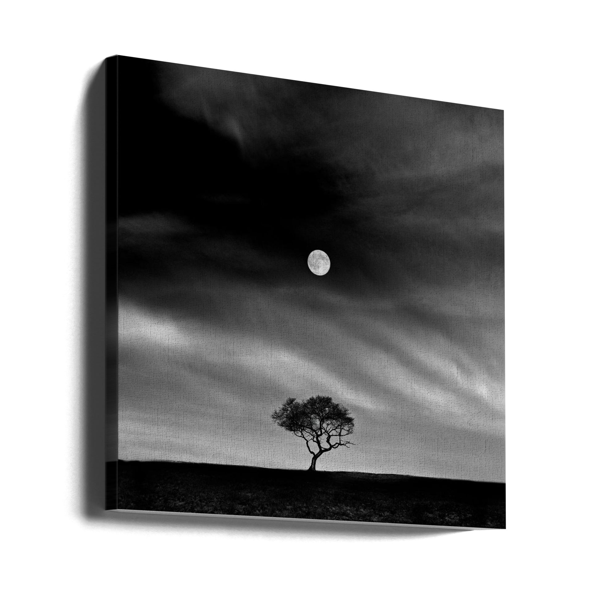 Stories under the Moon by Hsiao-yang Fei | Minimalist Night Landscape, Large Canvas Wall Art Print | Artsy Earth