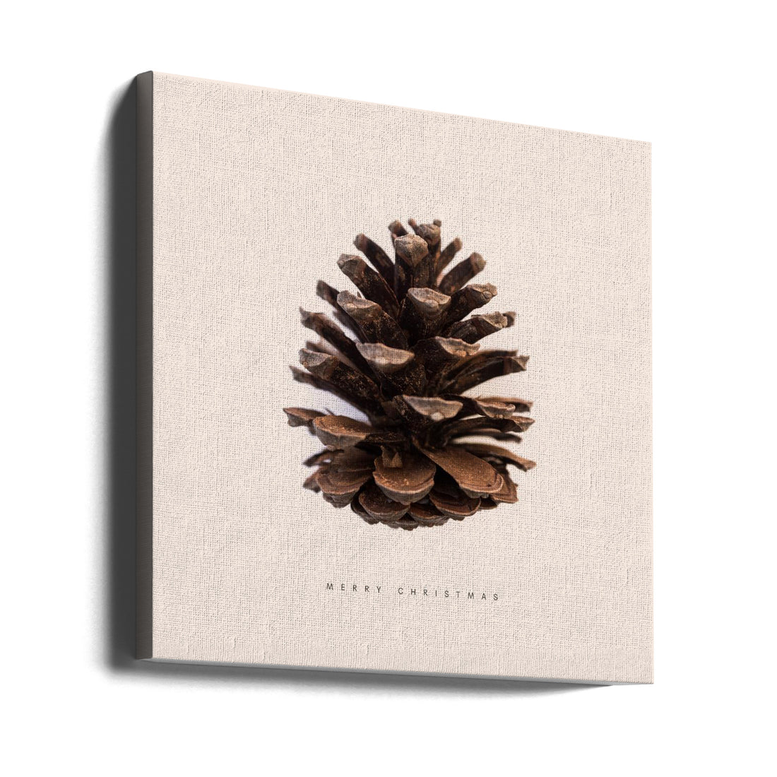 Merry Christmas Nº1 by Florent Bodart | Christmas Pine Cone, Large Canvas Wall Art Print | Artsy Earth